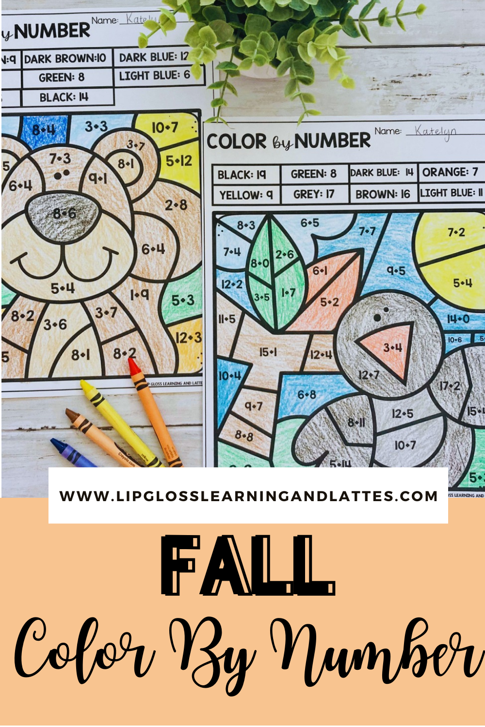 Fall Color By Number addition and subtraction sheets