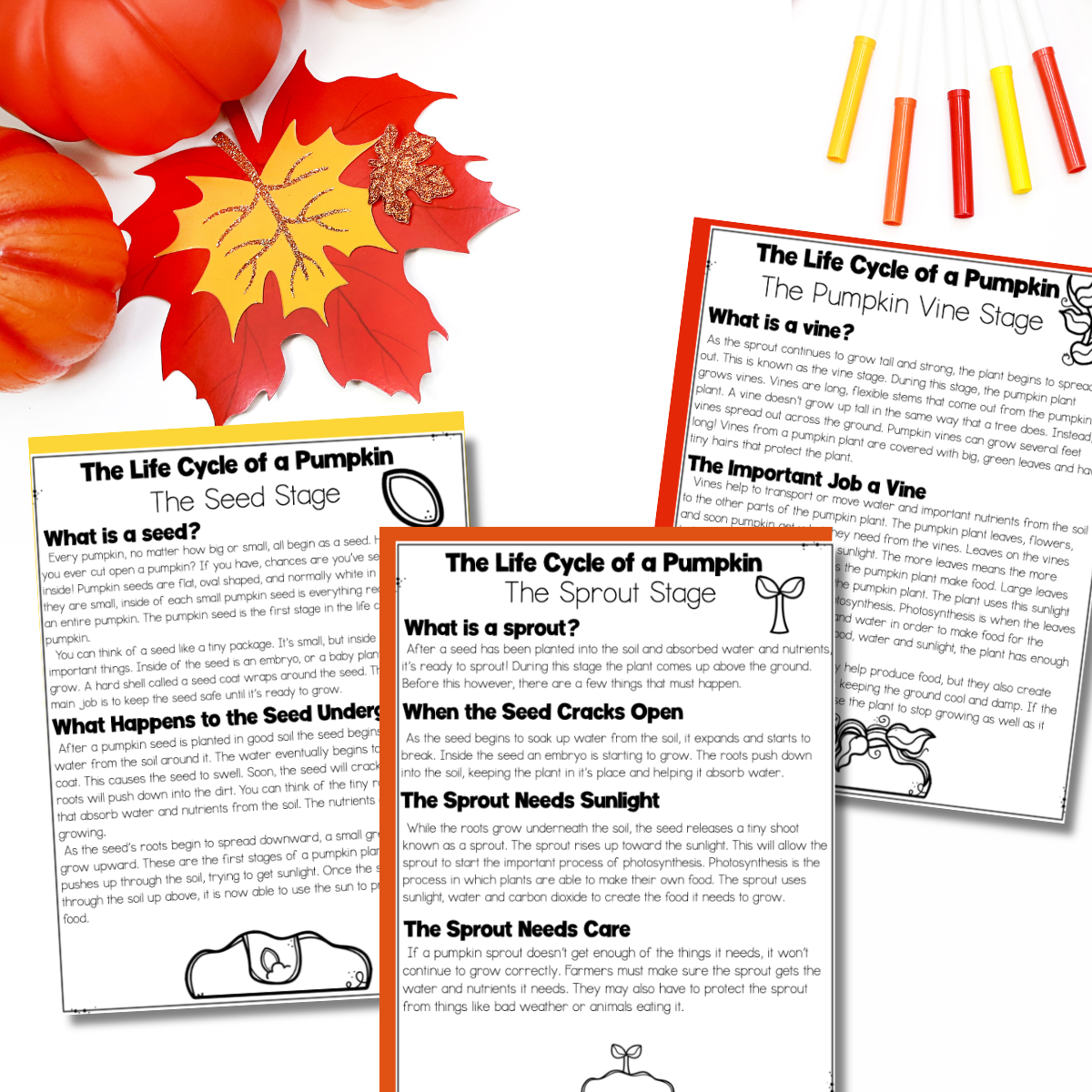  fall-lesson-plans-pumpkin-life-cycle-worksheets