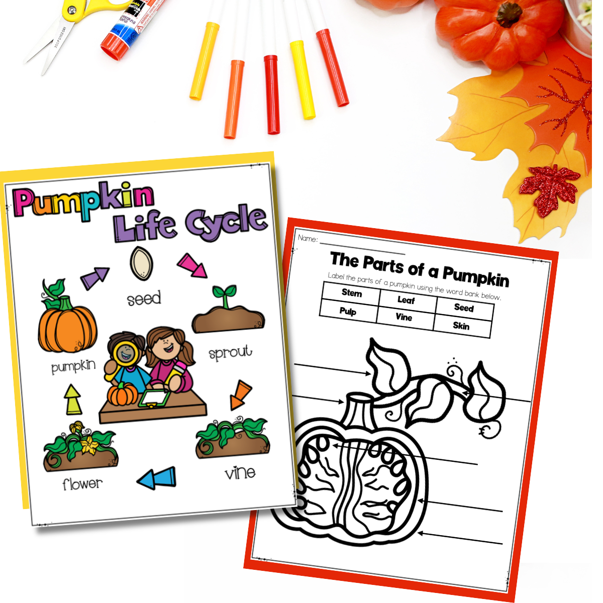 fall-lesson-plans-pumpkin-life-cycle-worksheets